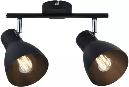 Потолочный светильник Paulmann "Davy", 2 лампочки, лампа E27 | без лампочки, Е27 Высота: 16,4 см., черный