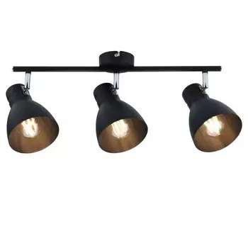 Потолочный светильник Paulmann Davy