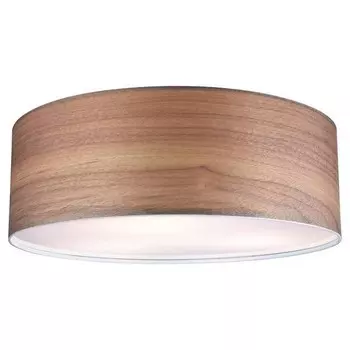 Потолочный светильник Paulmann Liska, коричневый