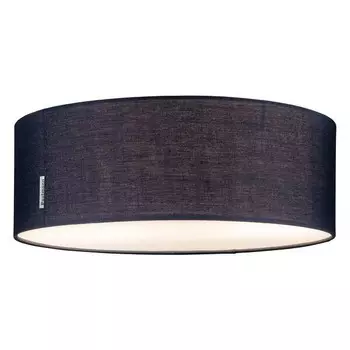 Потолочный светильник Paulmann Mari, синий