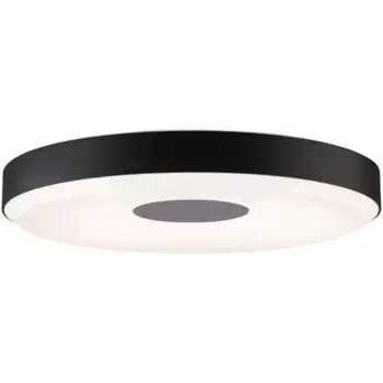 Потолочный светильник Paulmann Puric Pane, 1 лампочка, черный, серый, с регулировкой яркости