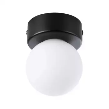 Потолочный светильник Paulmann "Selection Bath Gove IP44 макс. 1x20 Вт, сатин, стекло/металл", 1 лампочка, лампа G9 | без лампочки, G9 8,0 см, Высота: 10,6 см, черно-белый