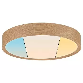 Потолочный светильник Paulmann Tega, светло-коричневый