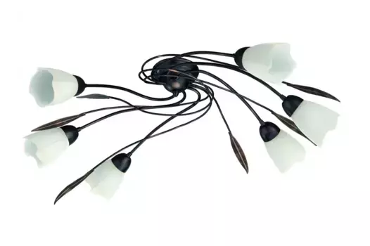 Потолочный светильник Philips, черный