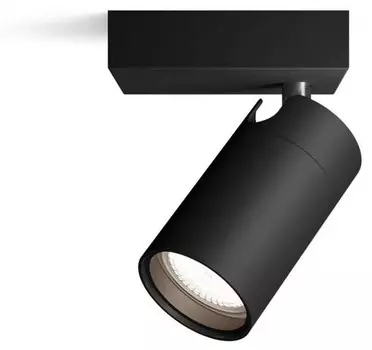Потолочный светильник Philips Idris, черный