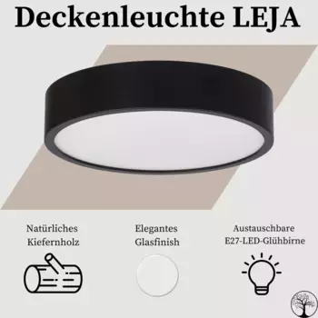 Потолочный светильник PIKA, черный