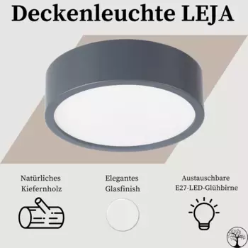 Потолочный светильник PIKA, серый