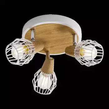 Потолочный светильник Prezent