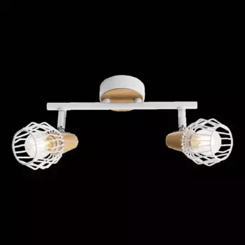 Потолочный светильник Prezent