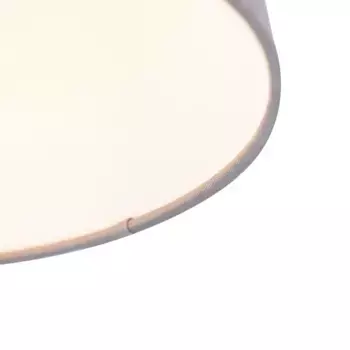 Потолочный светильник QAZQA, серый