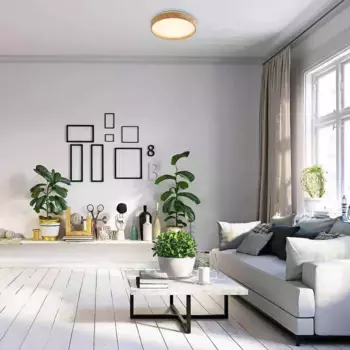 Потолочный светильник Rabalux