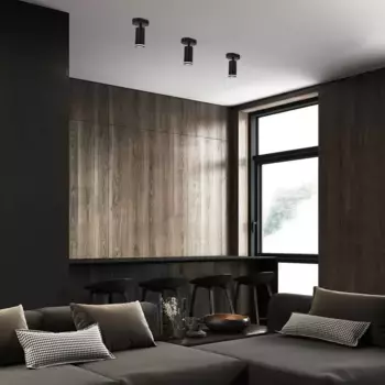 Потолочный светильник Rabalux, черный