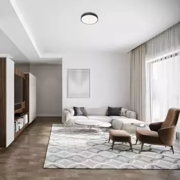 Потолочный светильник Rabalux, черный