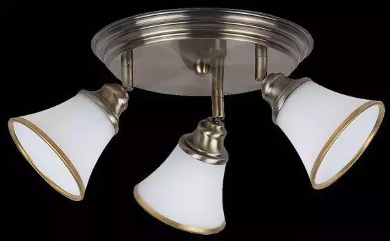 Потолочный светильник Rabalux, серебряный