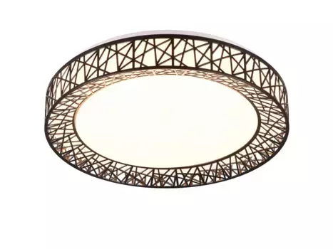 Потолочный светильник Reality Leuchten