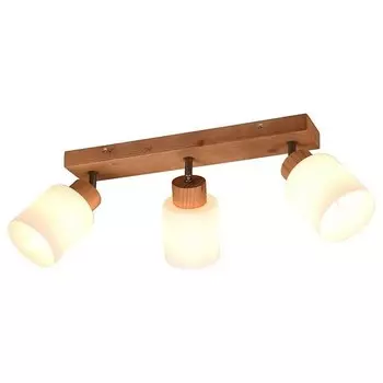 Потолочный светильник Reality Leuchten Assam цвет braun/wei