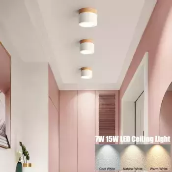 Потолочный светильник Rosikey