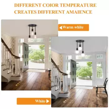 Потолочный светильник SERBASIC, черный