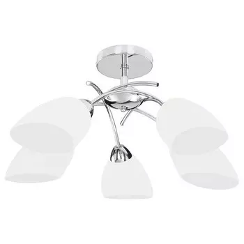 Потолочный светильник Spot Light Viletta II цвет chrom