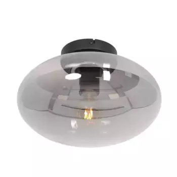 Потолочный светильник Steinhauer, черный