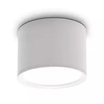 Потолочный светильник Struhm, белый