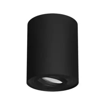 Потолочный светильник Struhm, черный