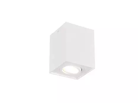 Потолочный светильник Trio Biscuit белого матового цвета GU10, 1 лампочка, белый