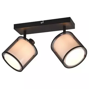 Потолочный светильник Trio Burton