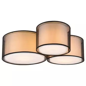 Потолочный светильник Trio Burton