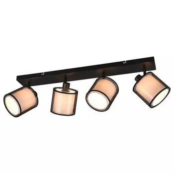 Потолочный светильник Trio Burton