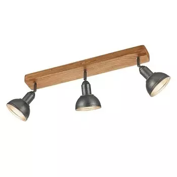 Потолочный светильник Trio Delhi II