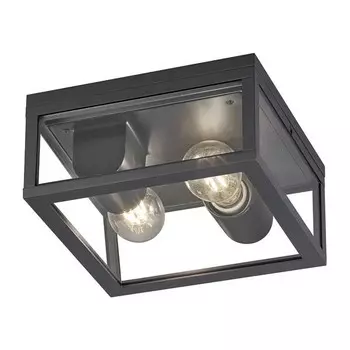 Потолочный светильник Trio Garonne, серый