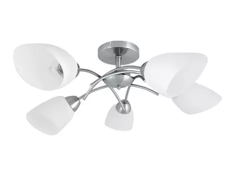 Потолочный светильник "Viletta" матовый никель, 5 лампочек 8141527 Spot Light