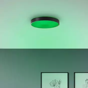 Потолочный светодиодный светильник, 49 см, RGB, 2300 лм, с регулировкой яркости, 3000-6500 К, Туя Lightbox, белый