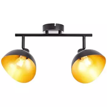 Потолочный точечный светильник BRILLIANT LAYTON металл черный матовое золото 2 лампы