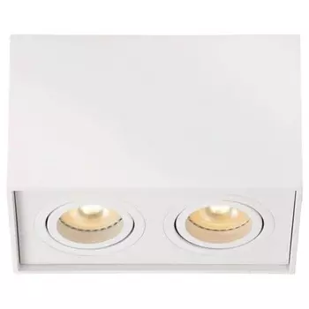 Потолочный точечный светильник Lucide TUBE, белый