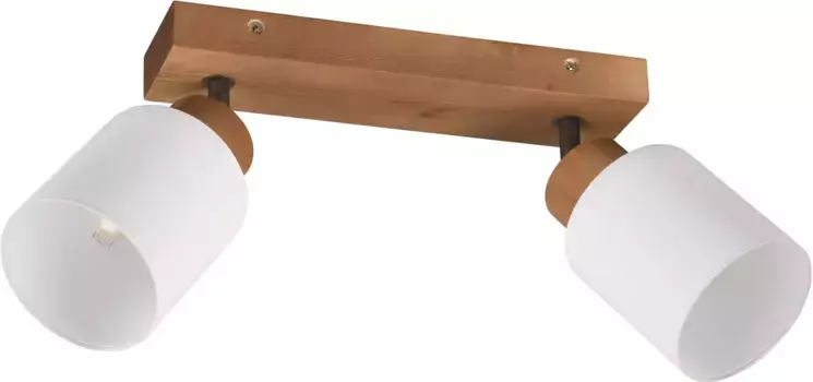 Потолочный точечный светильник TRIO Leuchten Assam E14 2 лампочки, цвет natur