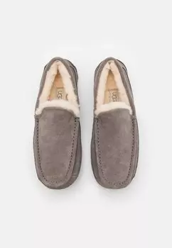 Повседневная обувь ASCOT UGG, серый