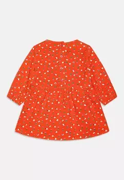 Повседневное платье DRESS Stella McCartney Kids, красный