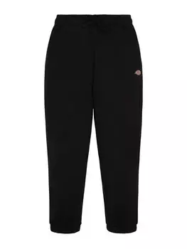 Повседневные брюки Dickies MAPLETON, черный