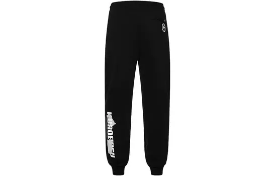 Повседневные брюки мужские черные Evisu, черный