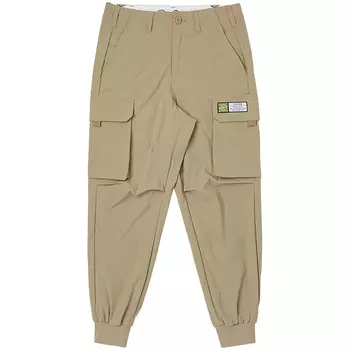 Повседневные брюки мужские цвета хаки Dickies, хаки