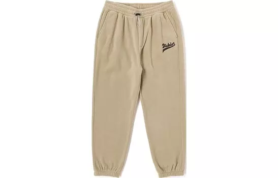 Повседневные брюки мужские Dickies, черный