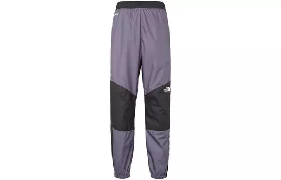 Повседневные брюки мужские фиолетовые The North Face, фиолетовый