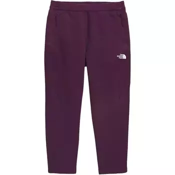 Повседневные брюки мужские фиолетовые The North Face, фиолетовый