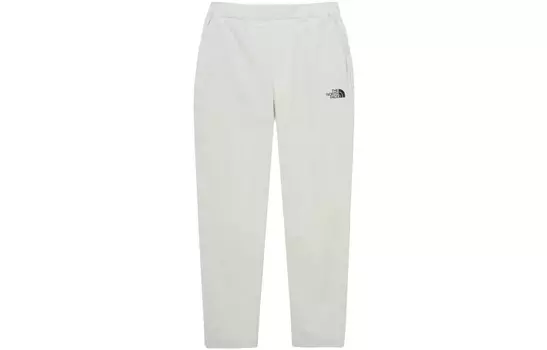 Повседневные брюки мужские Glacier Grey The North Face, серый