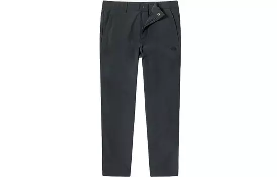 Повседневные брюки мужские серые The North Face, серый