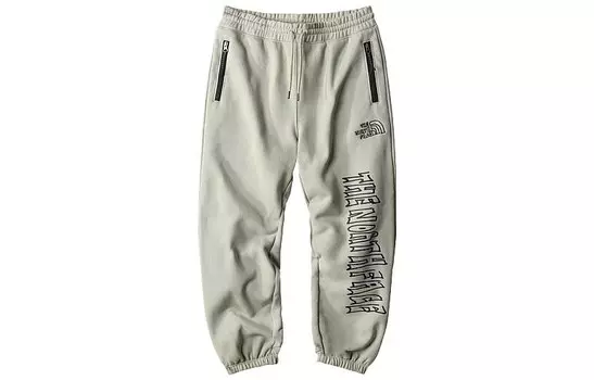 Повседневные брюки мужские серые The North Face, серый
