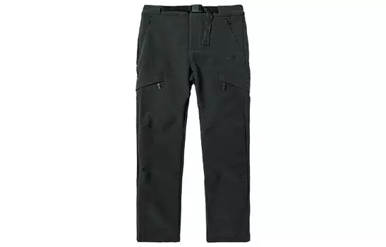 Повседневные брюки мужские серые The North Face, серый