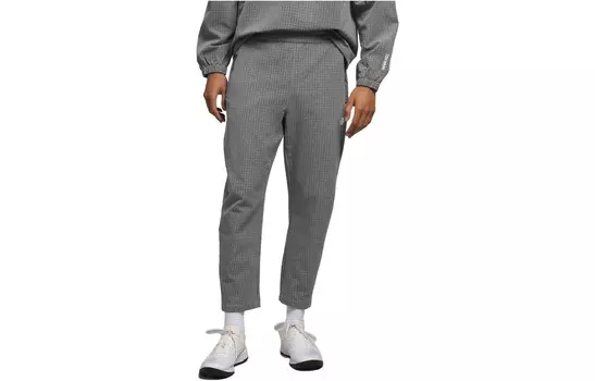 Повседневные брюки мужские серые The North Face, серый